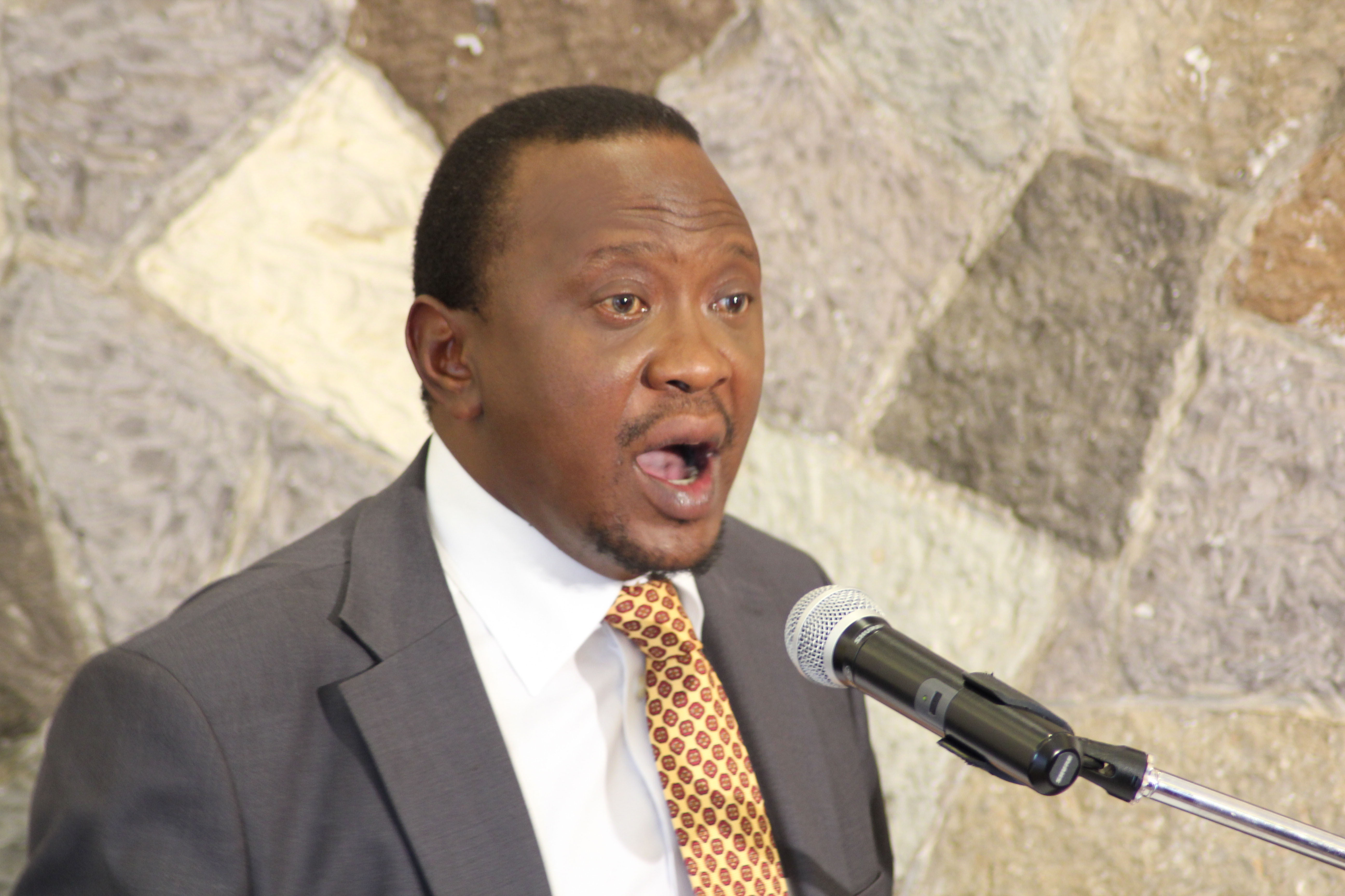 photo credit: Uhuru Kenyatta/flickr photo credit: Uhuru Kenyatta/flickr