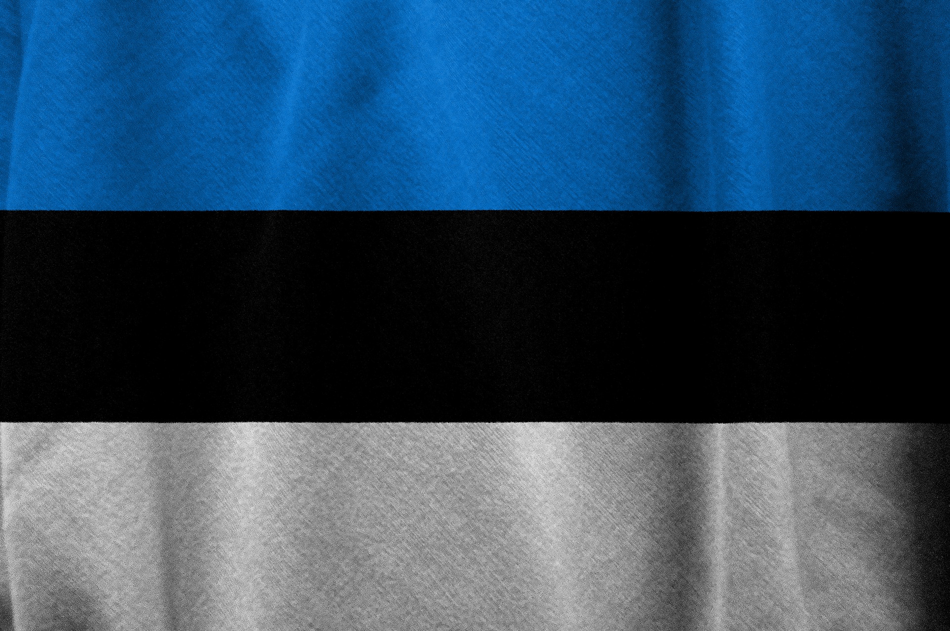 Flag of Estonia (photo credit: TheDigitalArtist / pixabay) Flag of Estonia (photo credit: TheDigitalArtist / pixabay)