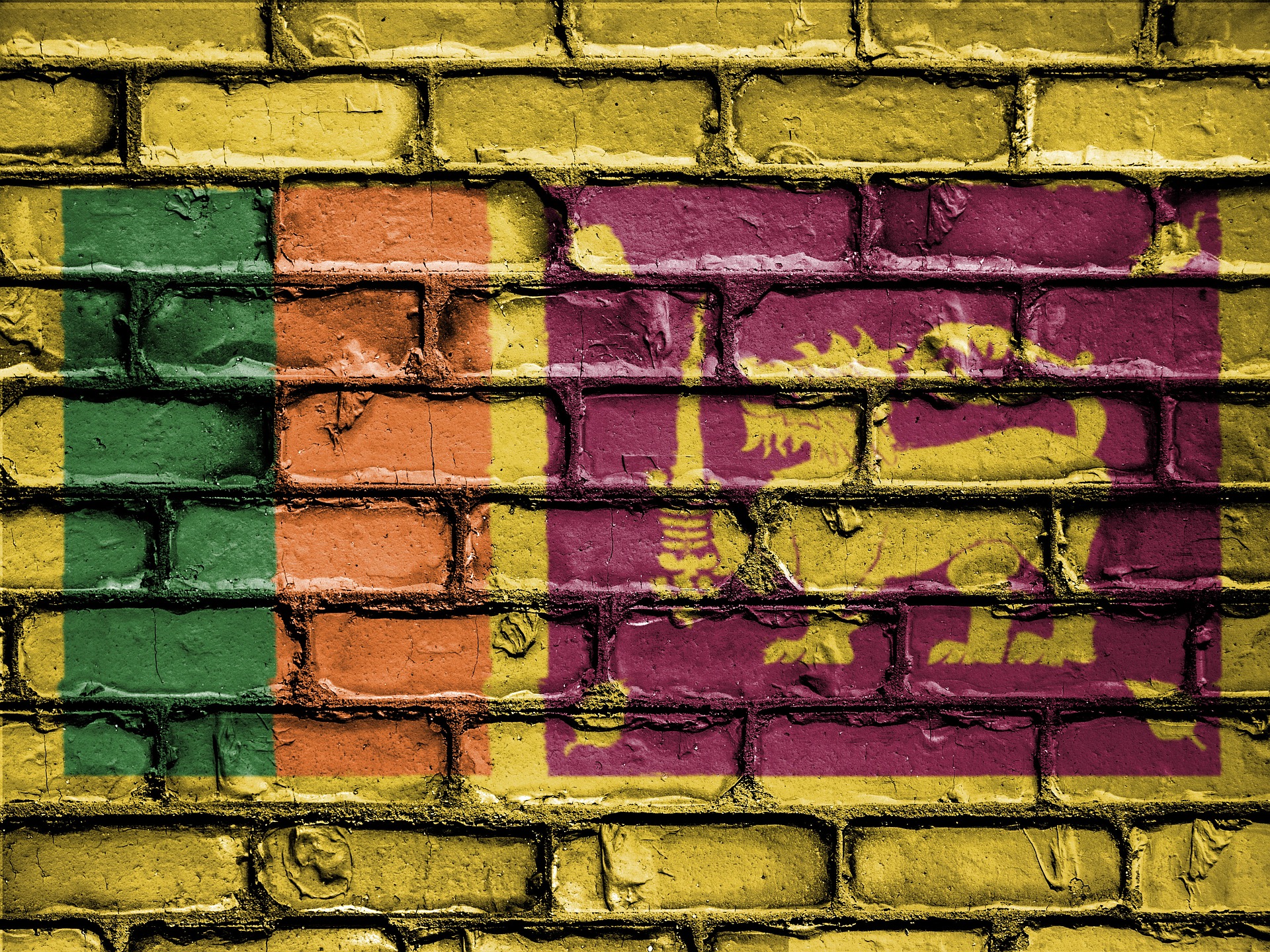 Flag of Sri Lanka (photo credit: pixabay) Flag of Sri Lanka (photo credit: pixabay)