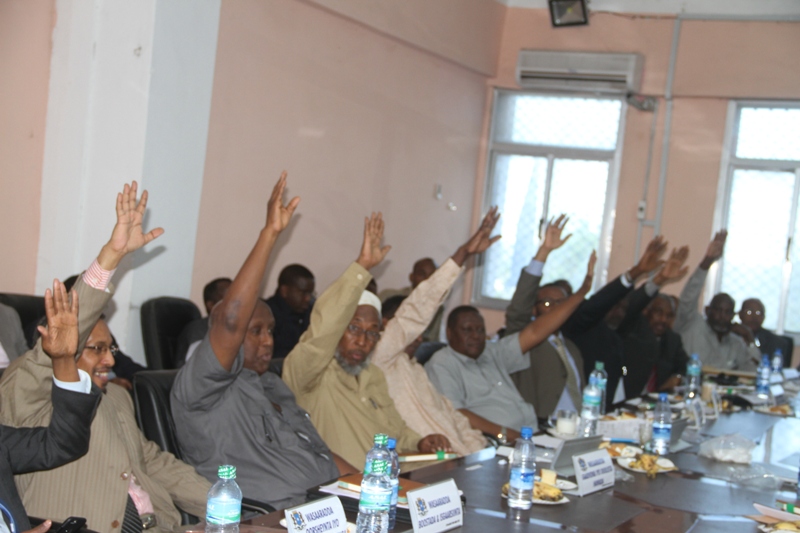 Parliament members in vote [Photo credit: Horseed Media]