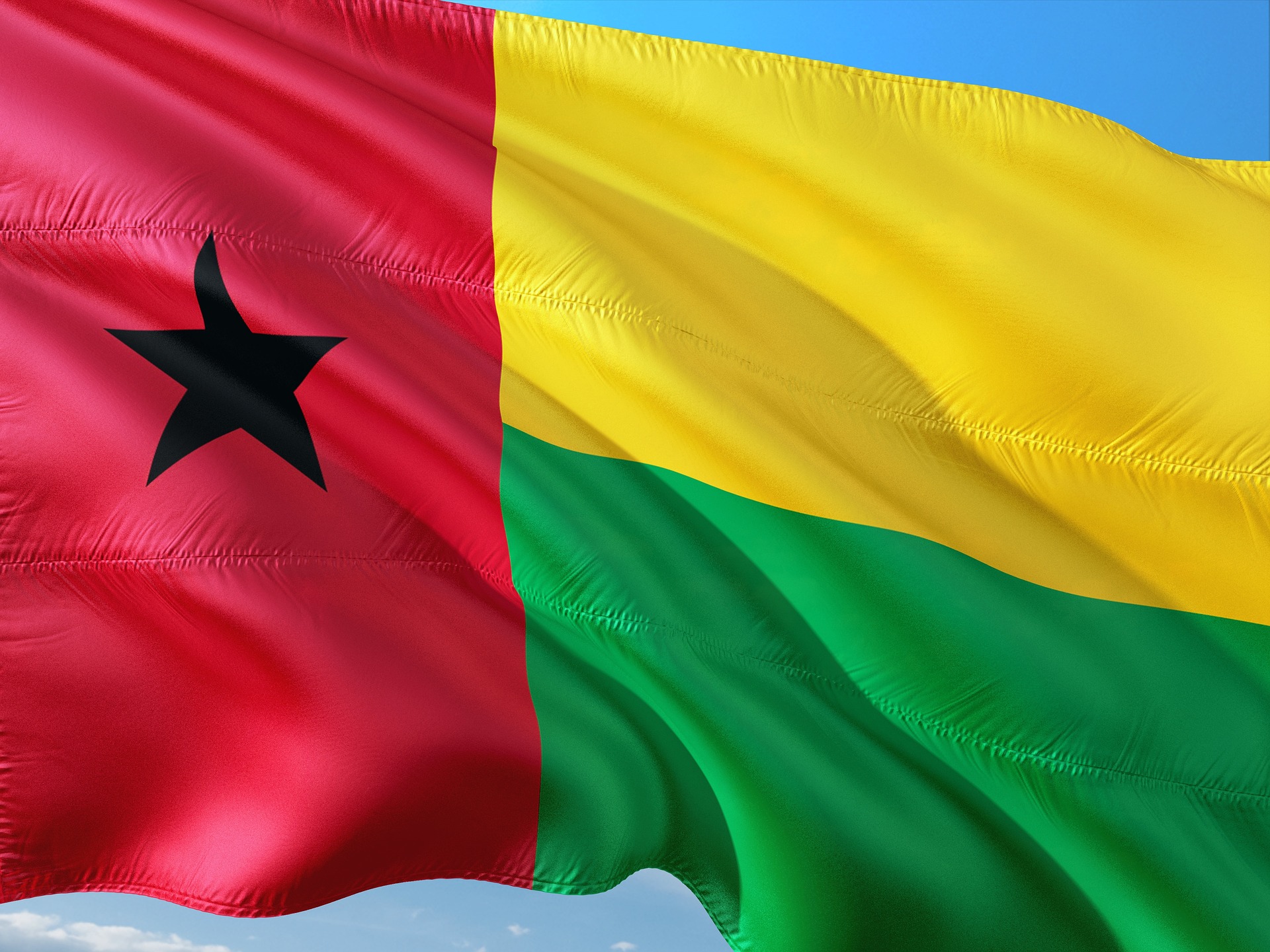 Flag of Guinea Bissau (photo credit: pixabay) Flag of Guinea Bissau (photo credit: pixabay)