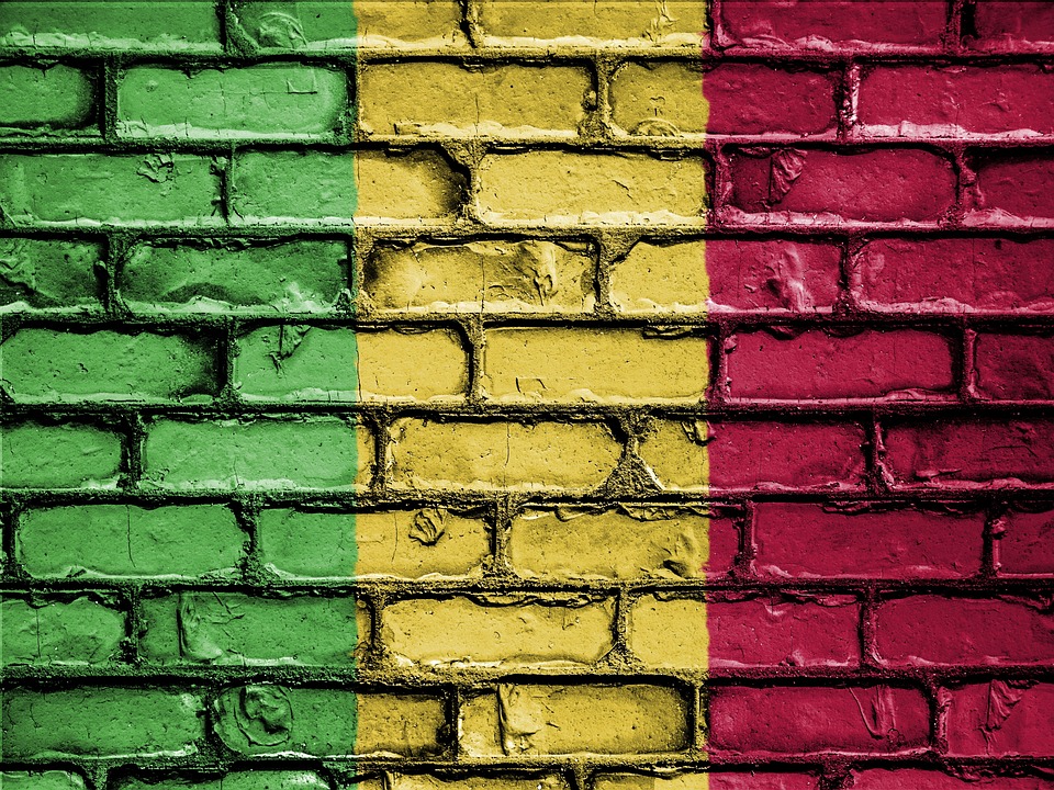 Flag of Mali (photo credit: David_Peterson via pixabay) Flag of Mali (photo credit: David_Peterson via pixabay)