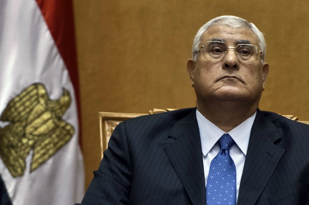 Interim President Adly Mansour Interim President Adly Mansour
