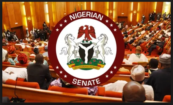 (photo credit: Daily Trust) (photo credit: Daily Trust)