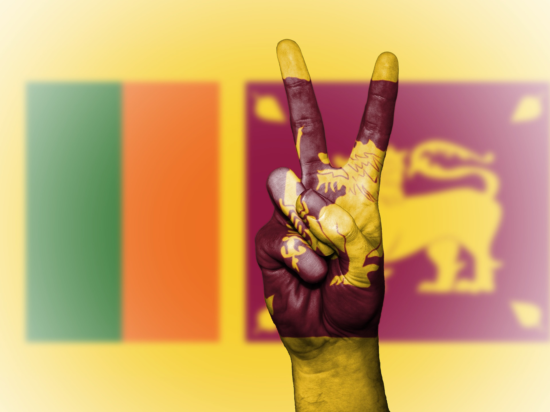 The flag of Sri Lanka (Photo credit: Pixabay) The flag of Sri Lanka (Photo credit: Pixabay)