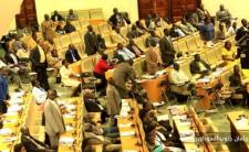 برلمان جنوب السودان