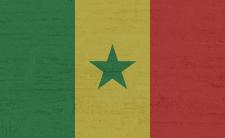 Flag of Senegal (photo credit: Kaufdex via pixabay)